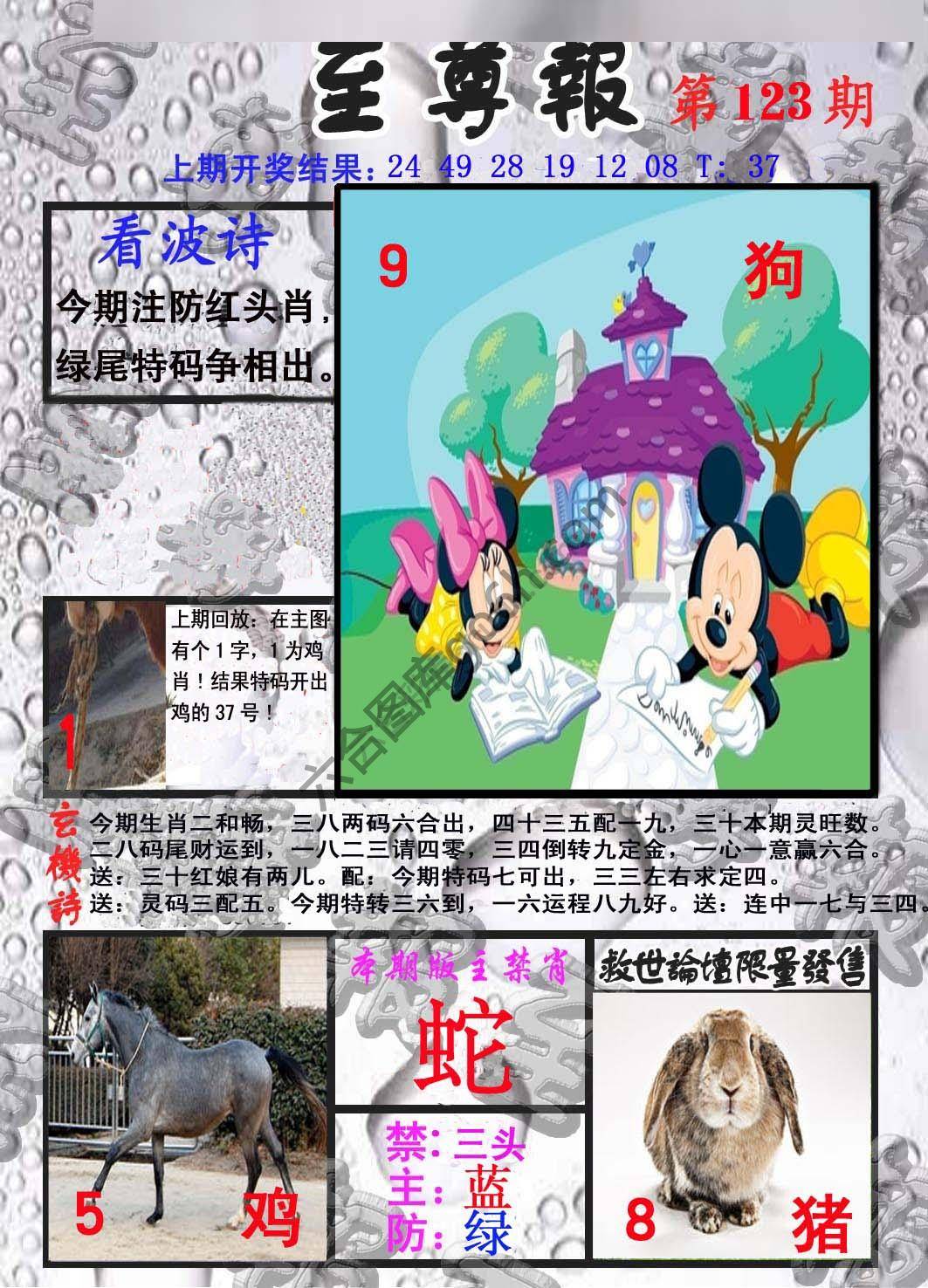 至尊报
