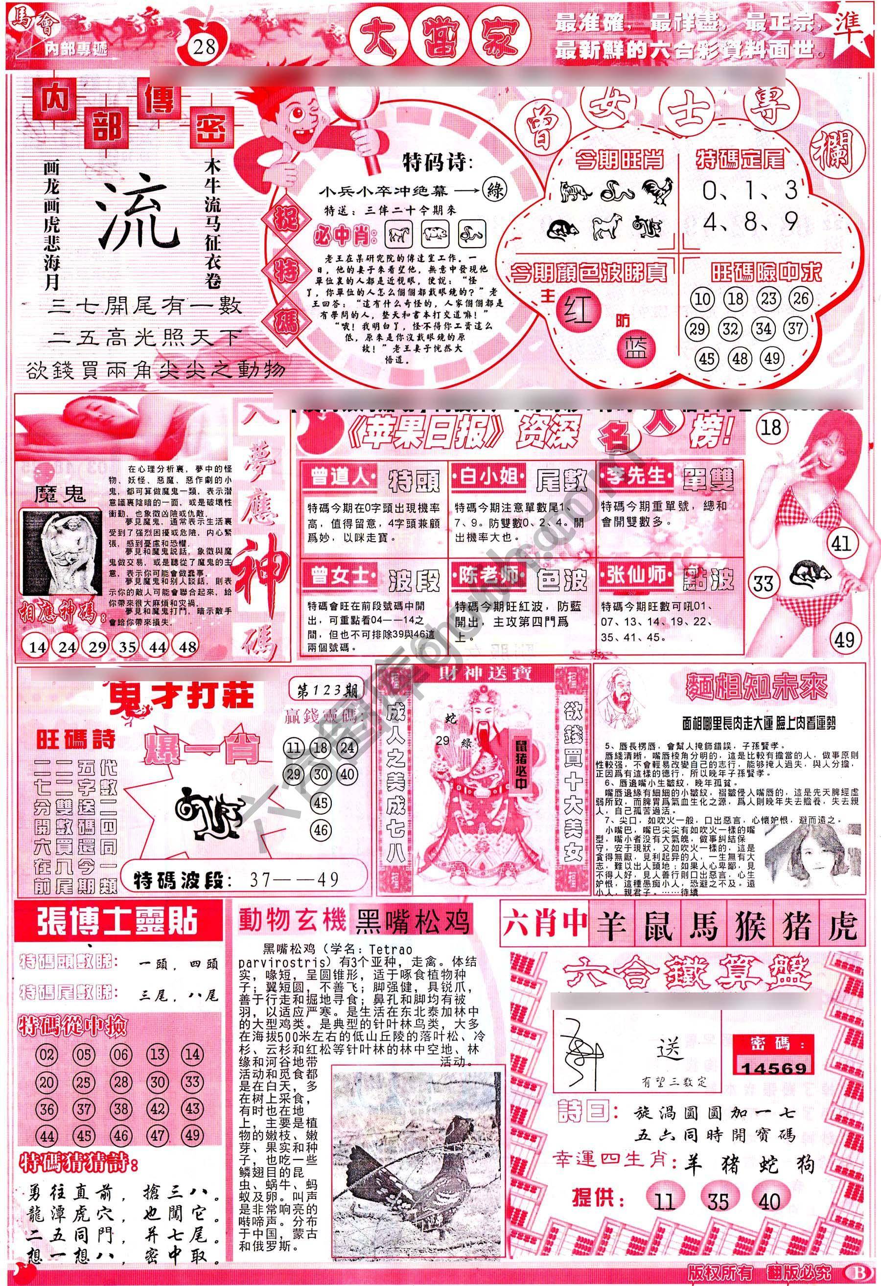 大当家