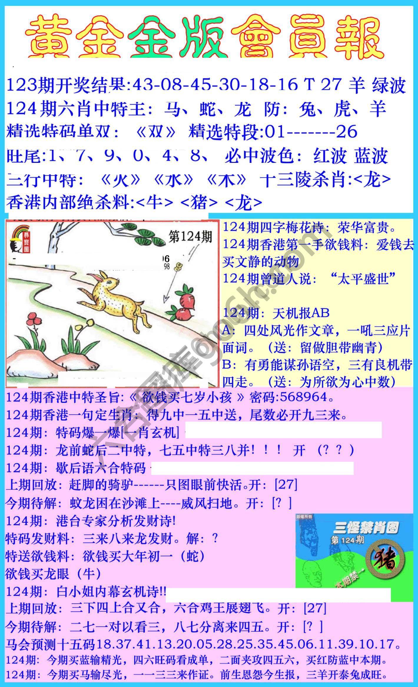 黄金金版会员报
