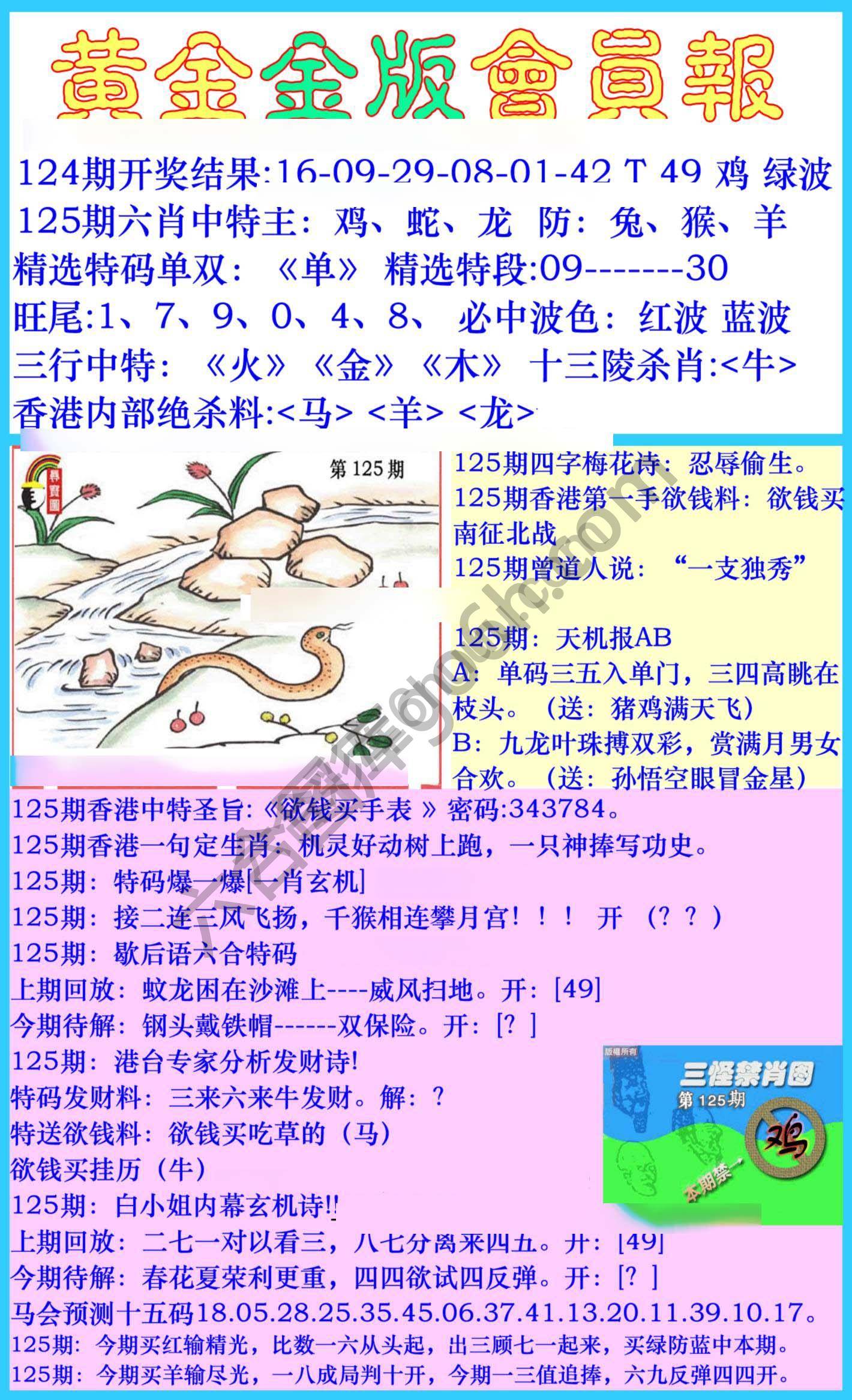 黄金金版会员报