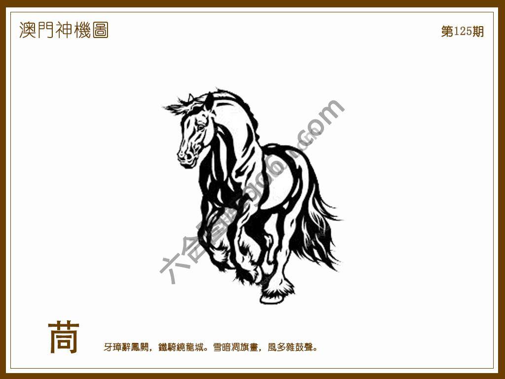 澳门神机图