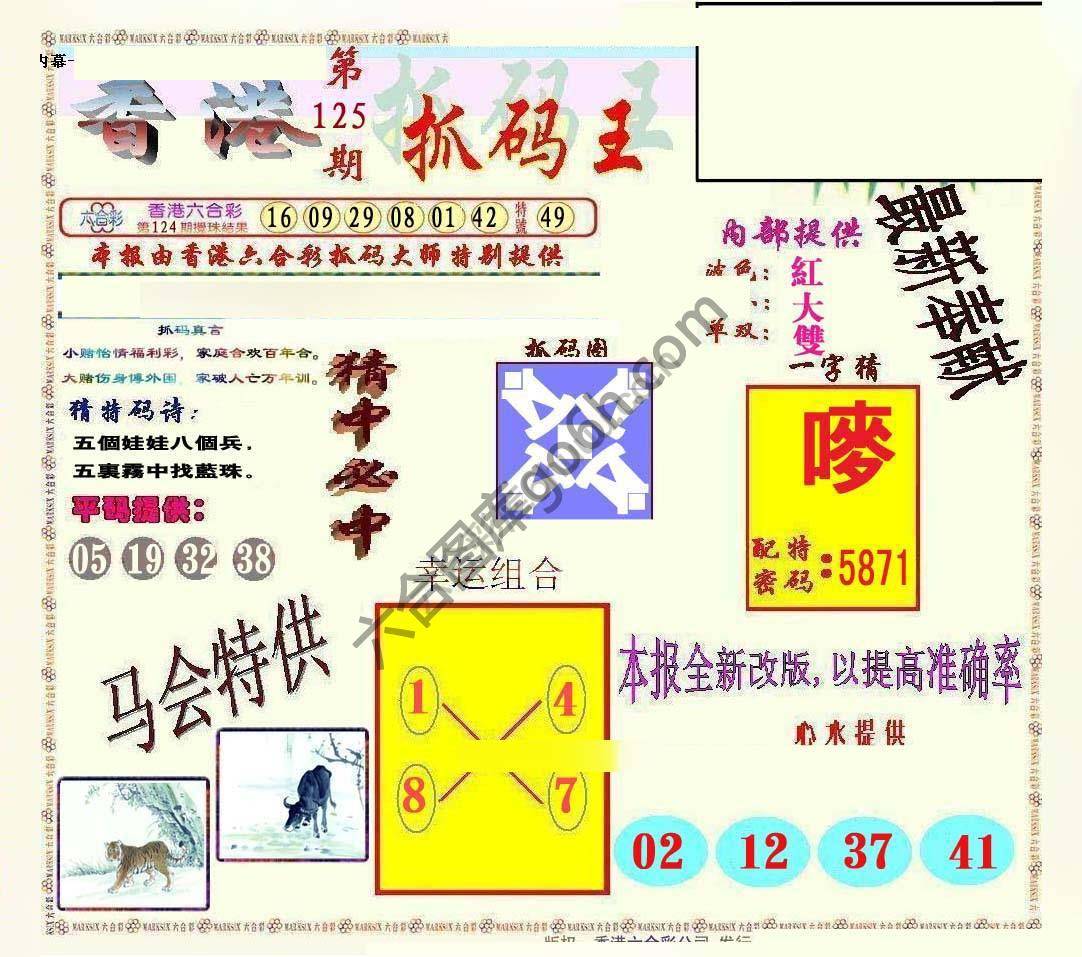 新抓码王