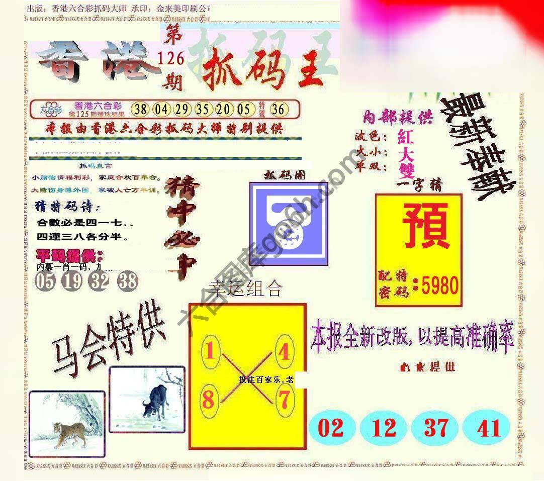 新抓码王