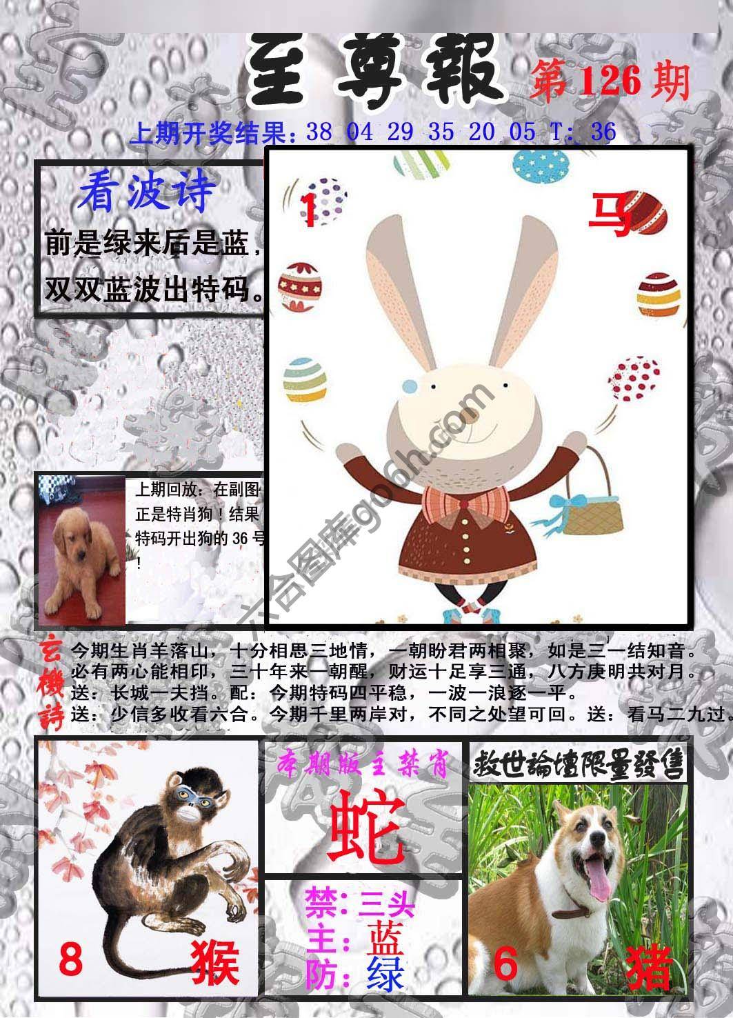 至尊报