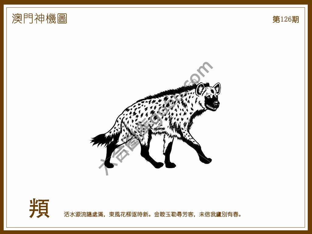 澳门神机图