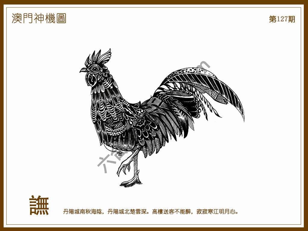 澳门神机图
