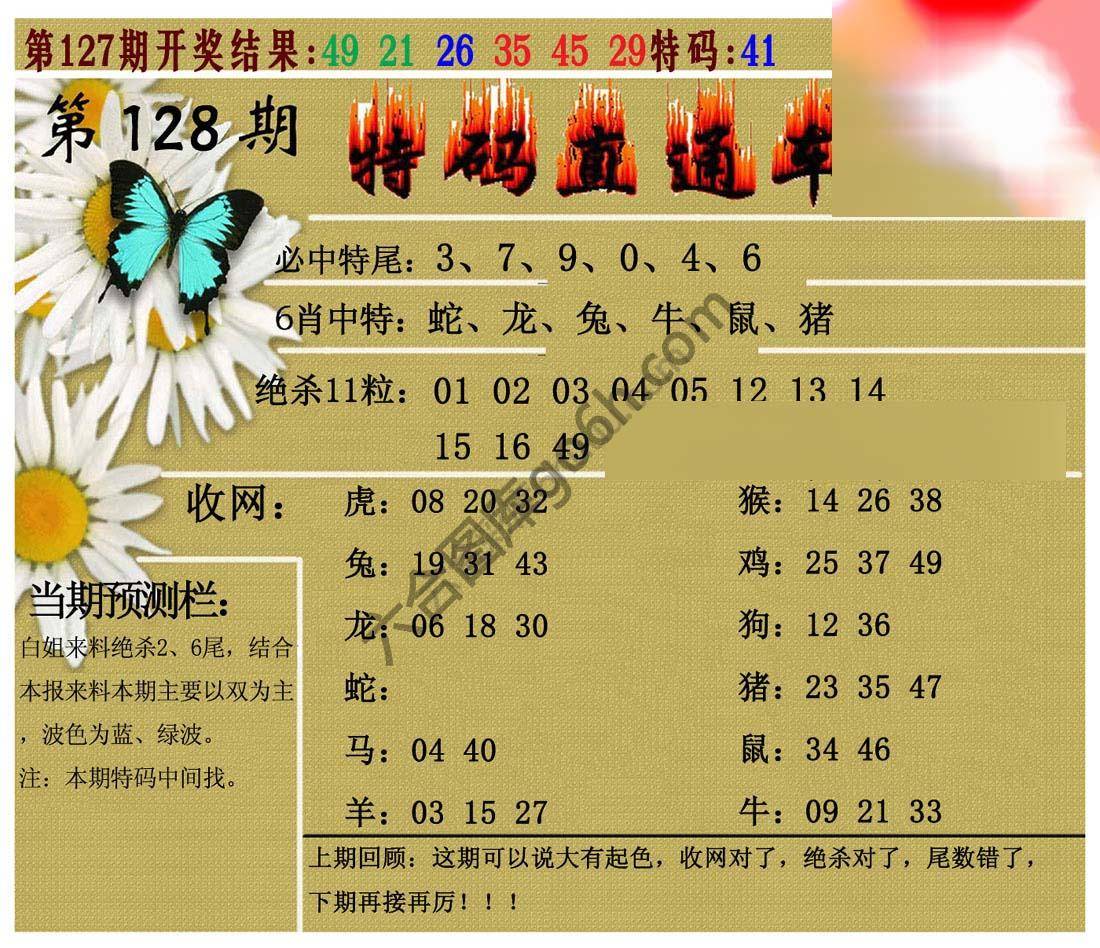 特码直通车