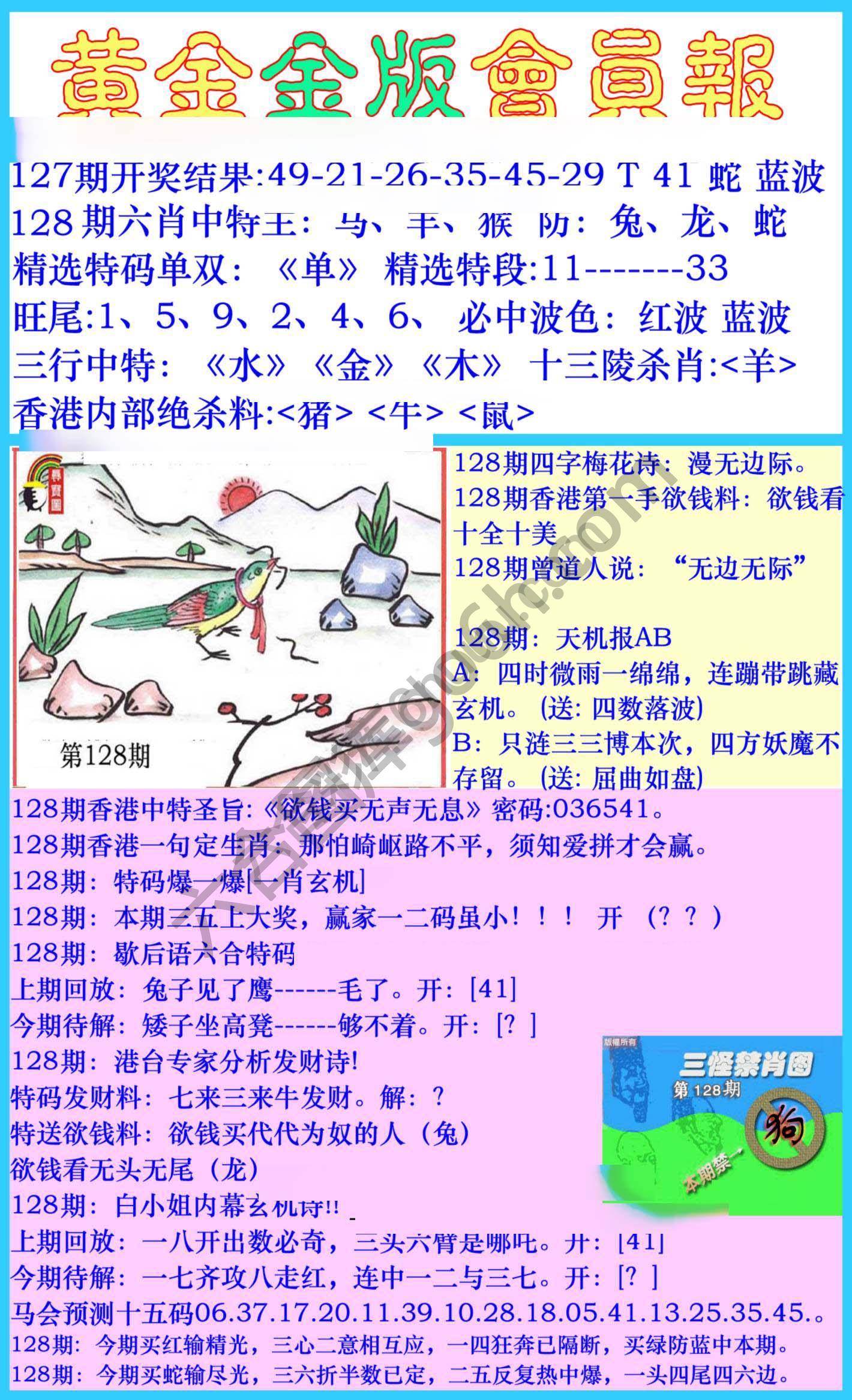 黄金金版会员报