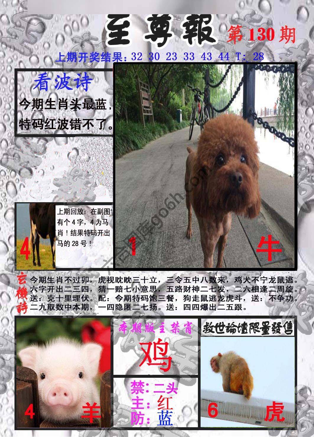 至尊报