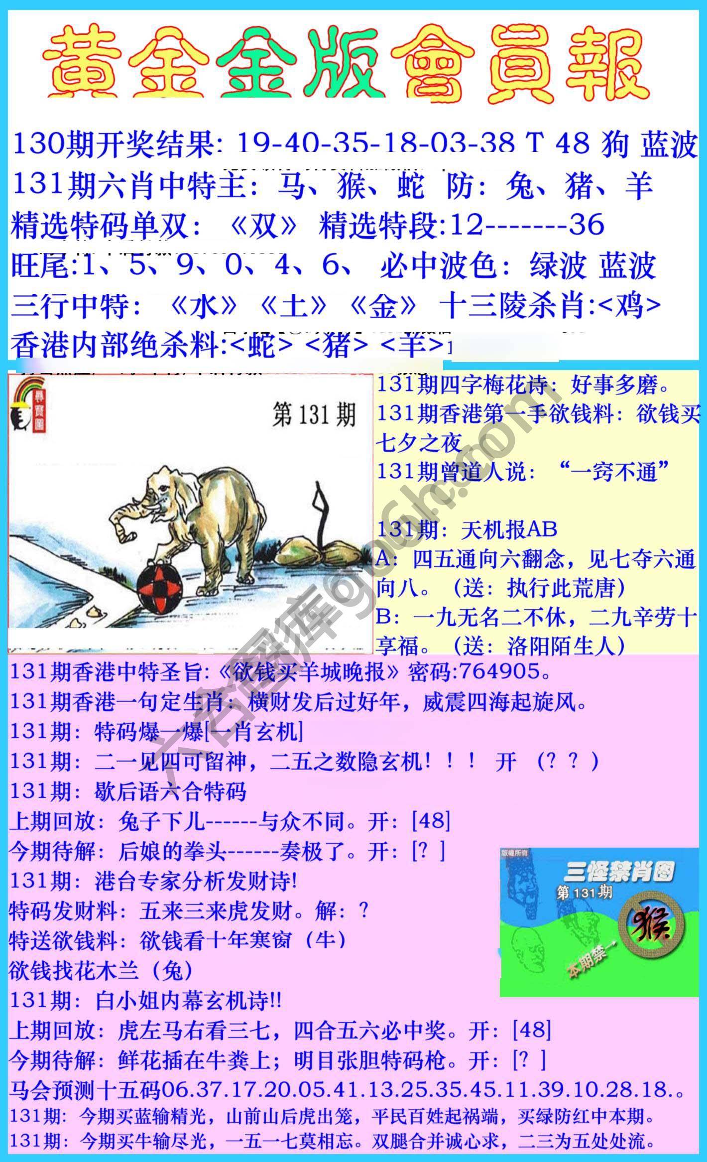 黄金金版会员报