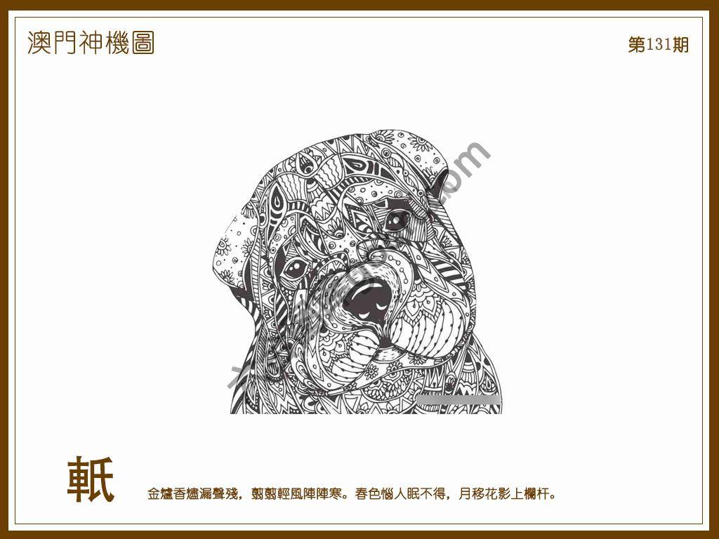 澳门神机图