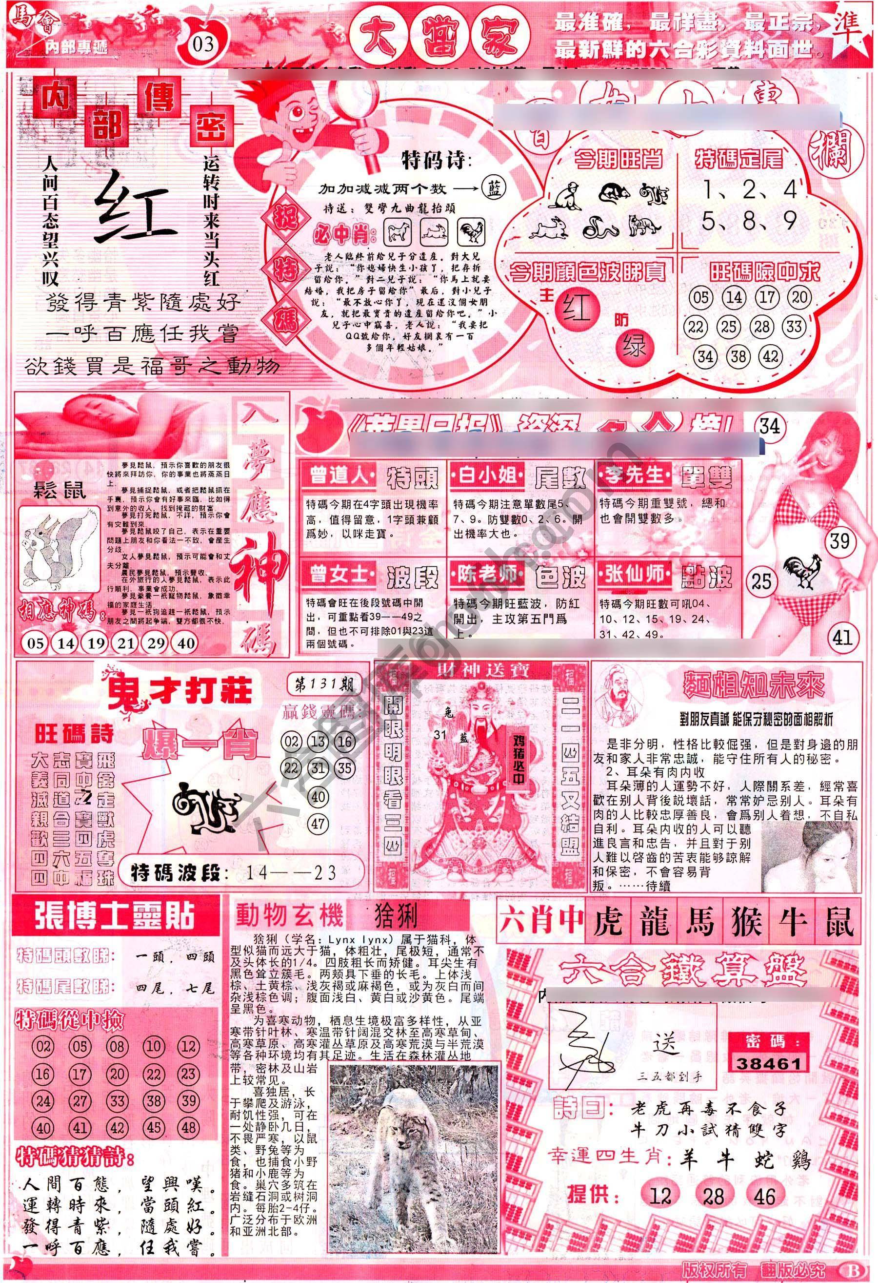 大当家
