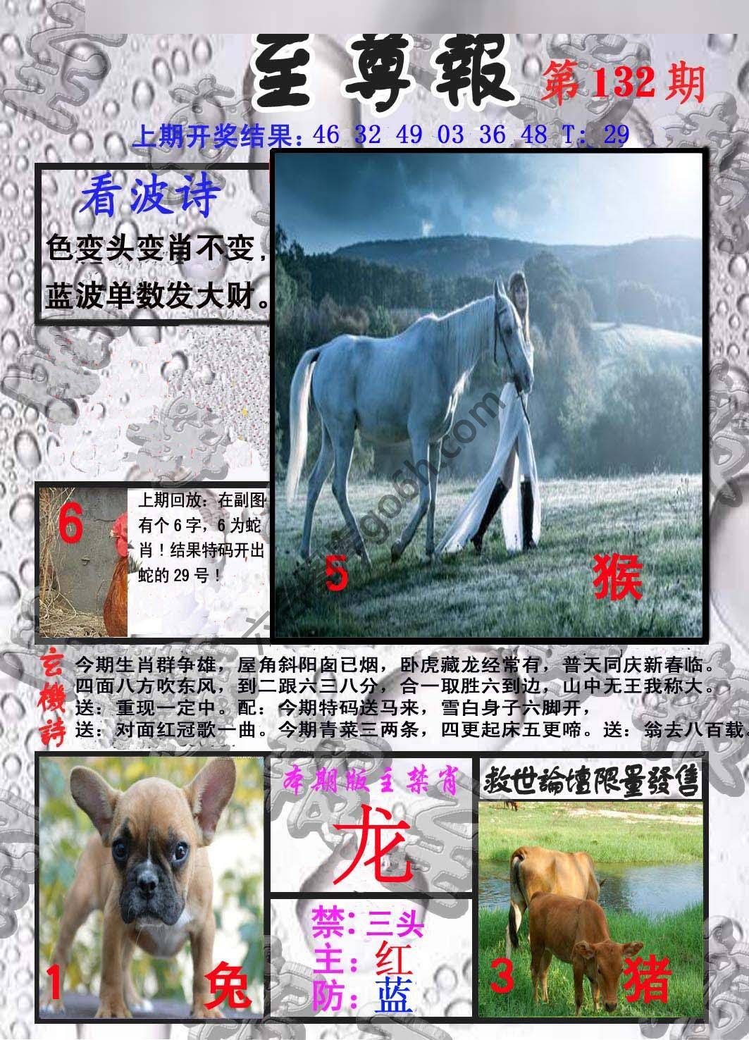 至尊报