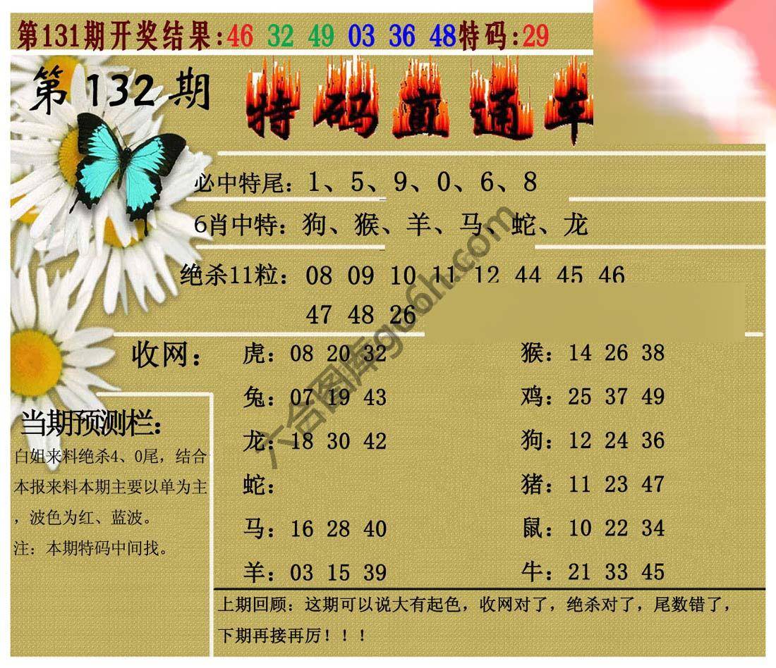 特码直通车