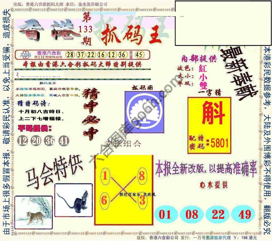 新抓码王