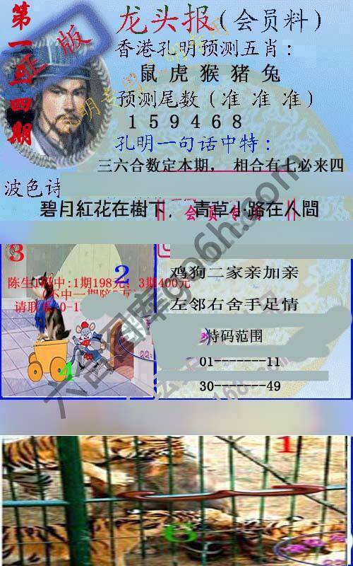 龙头报