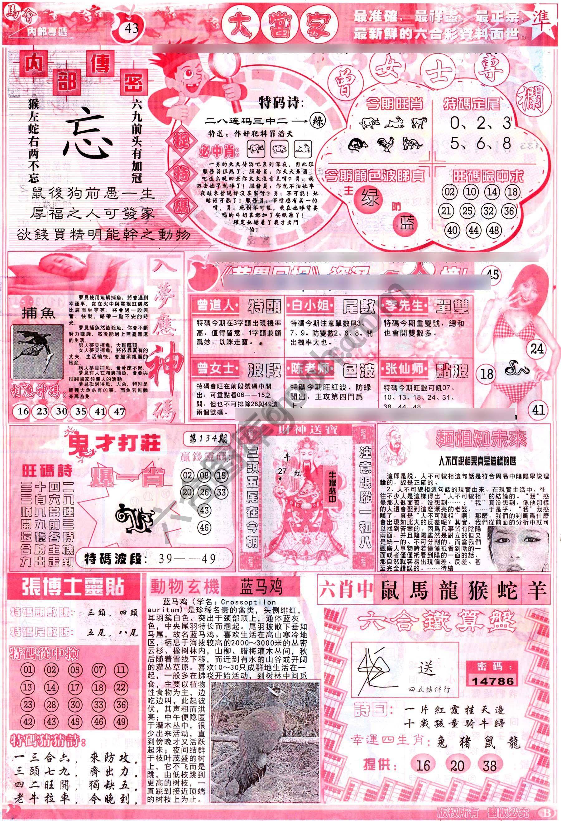 大当家