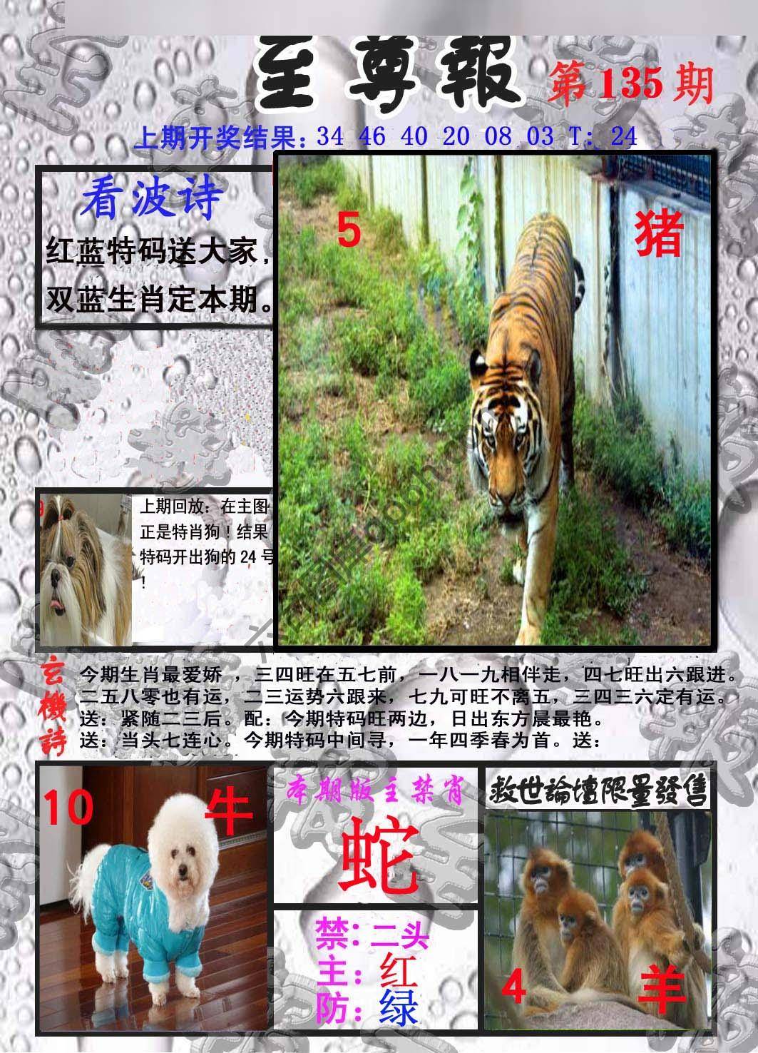 至尊报