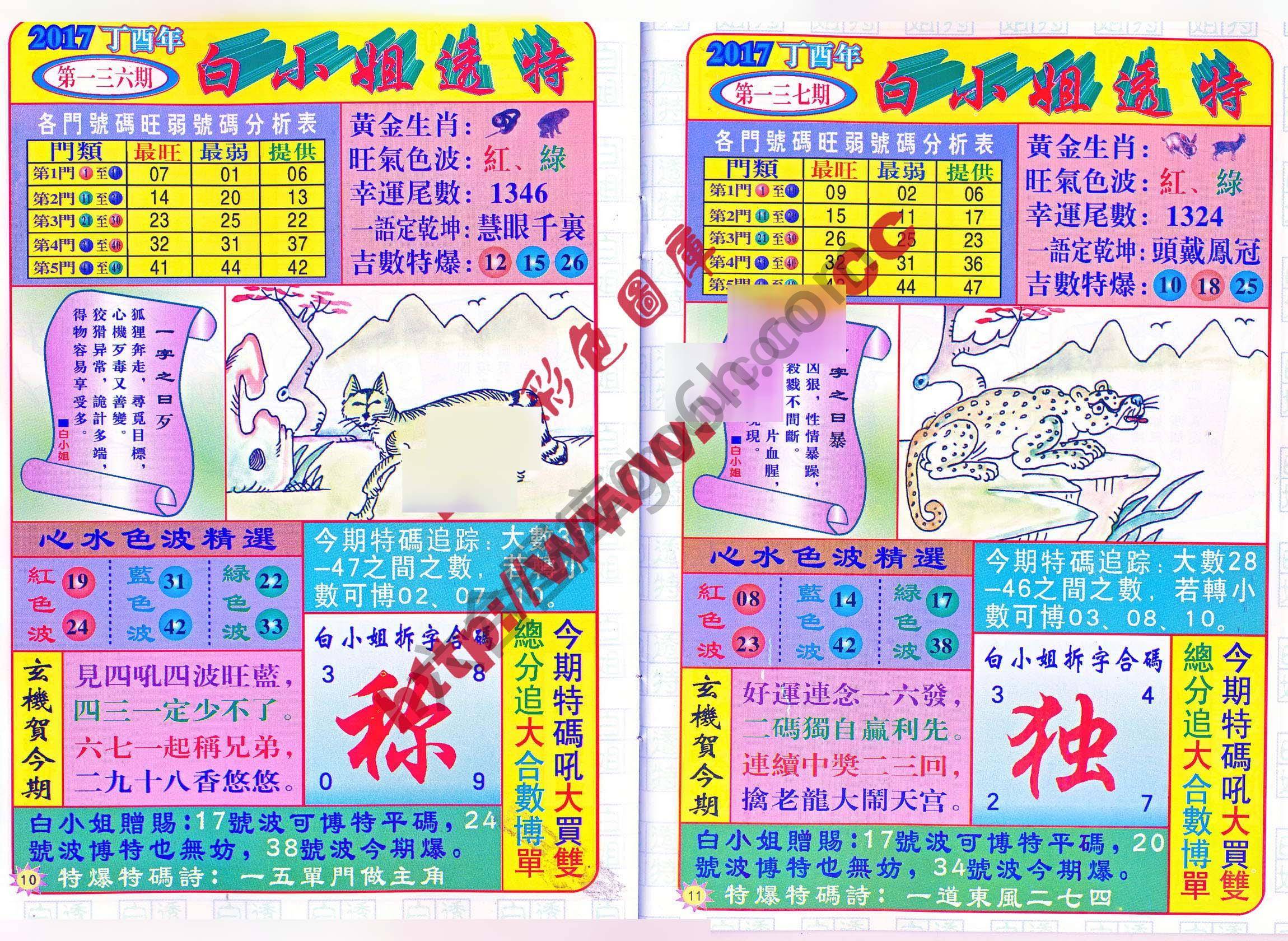 白小姐透特
