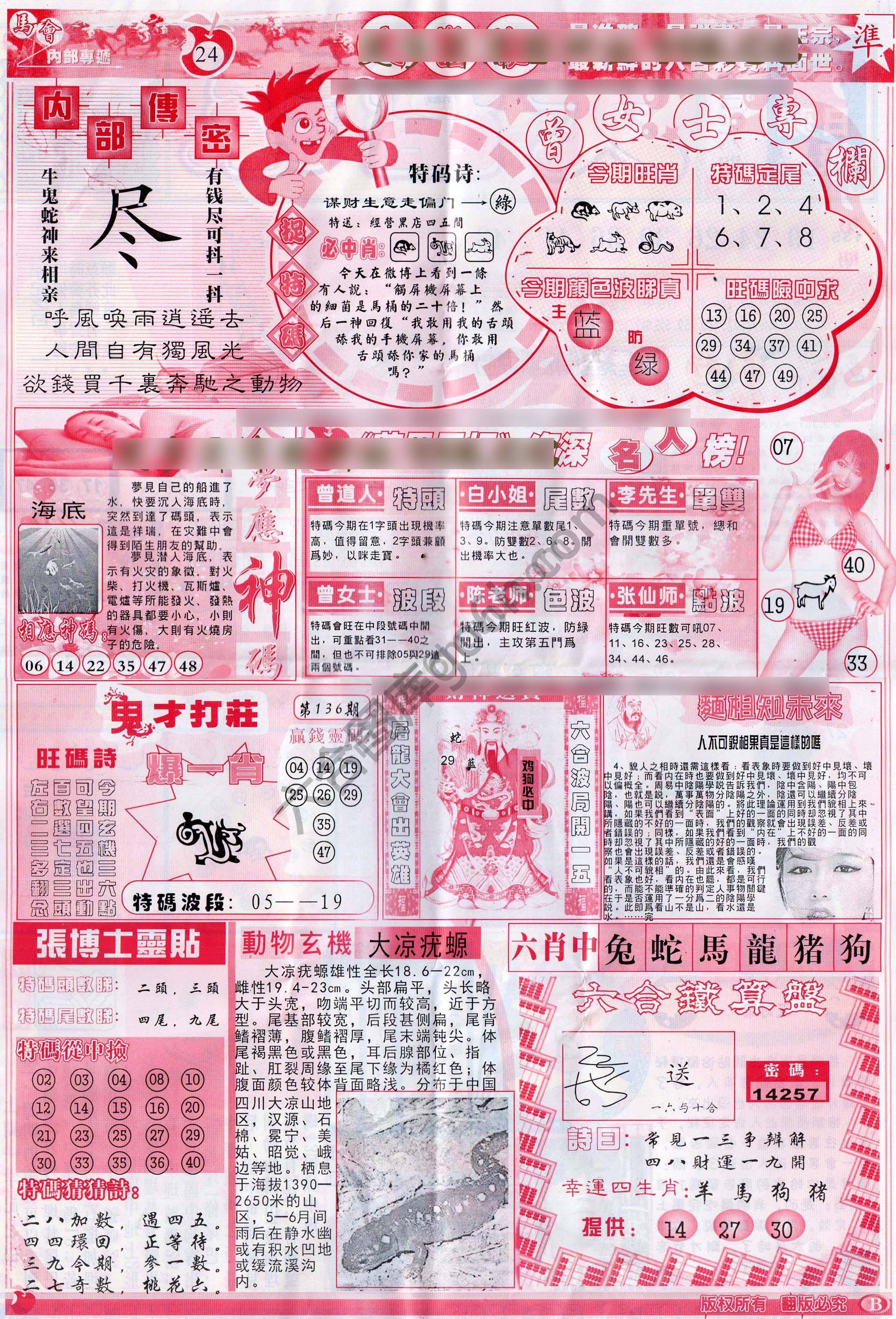 大当家