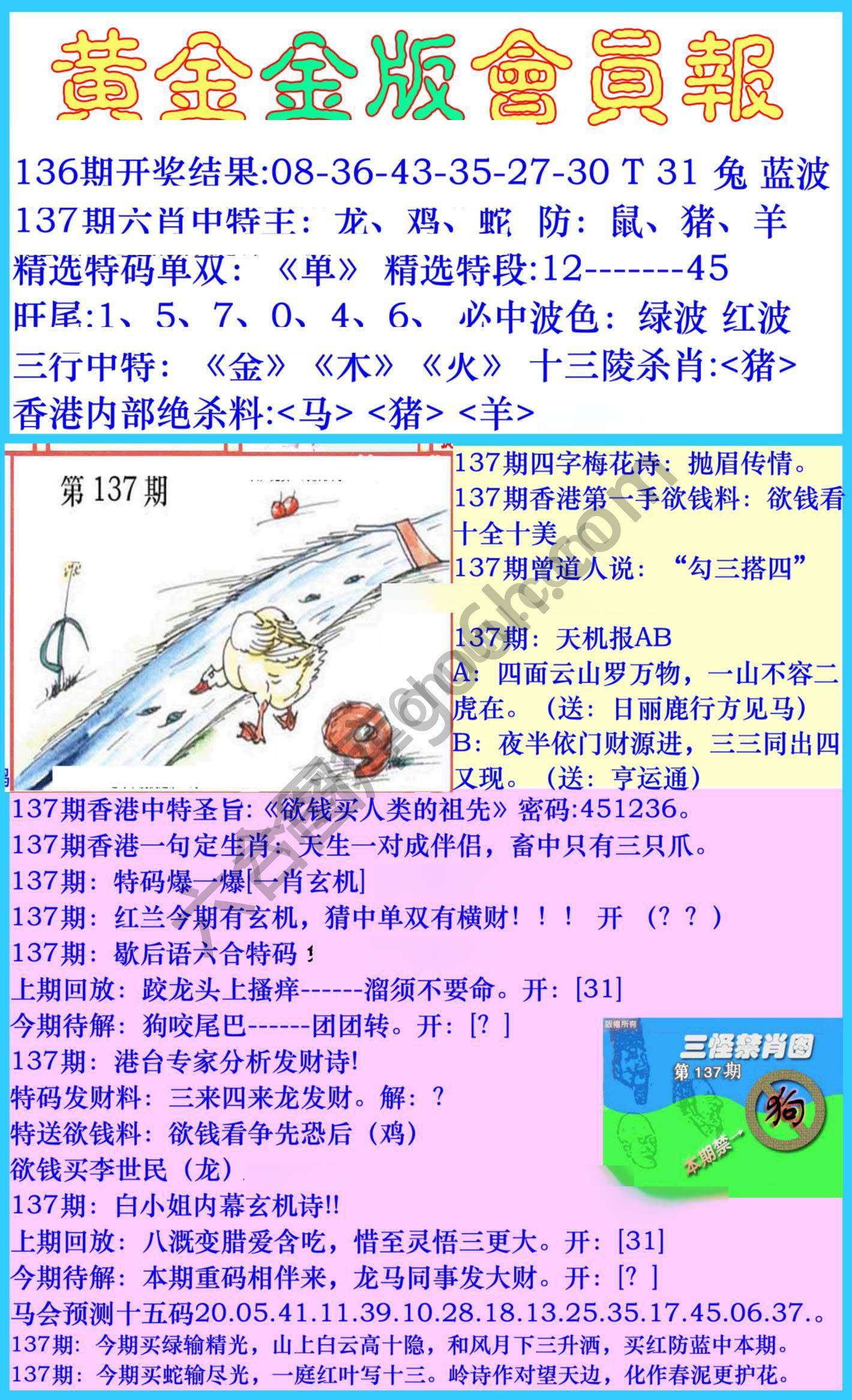 黄金金版会员报