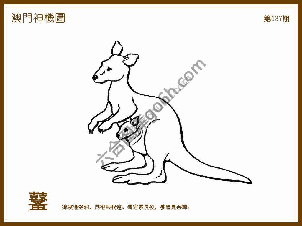 澳门神机图