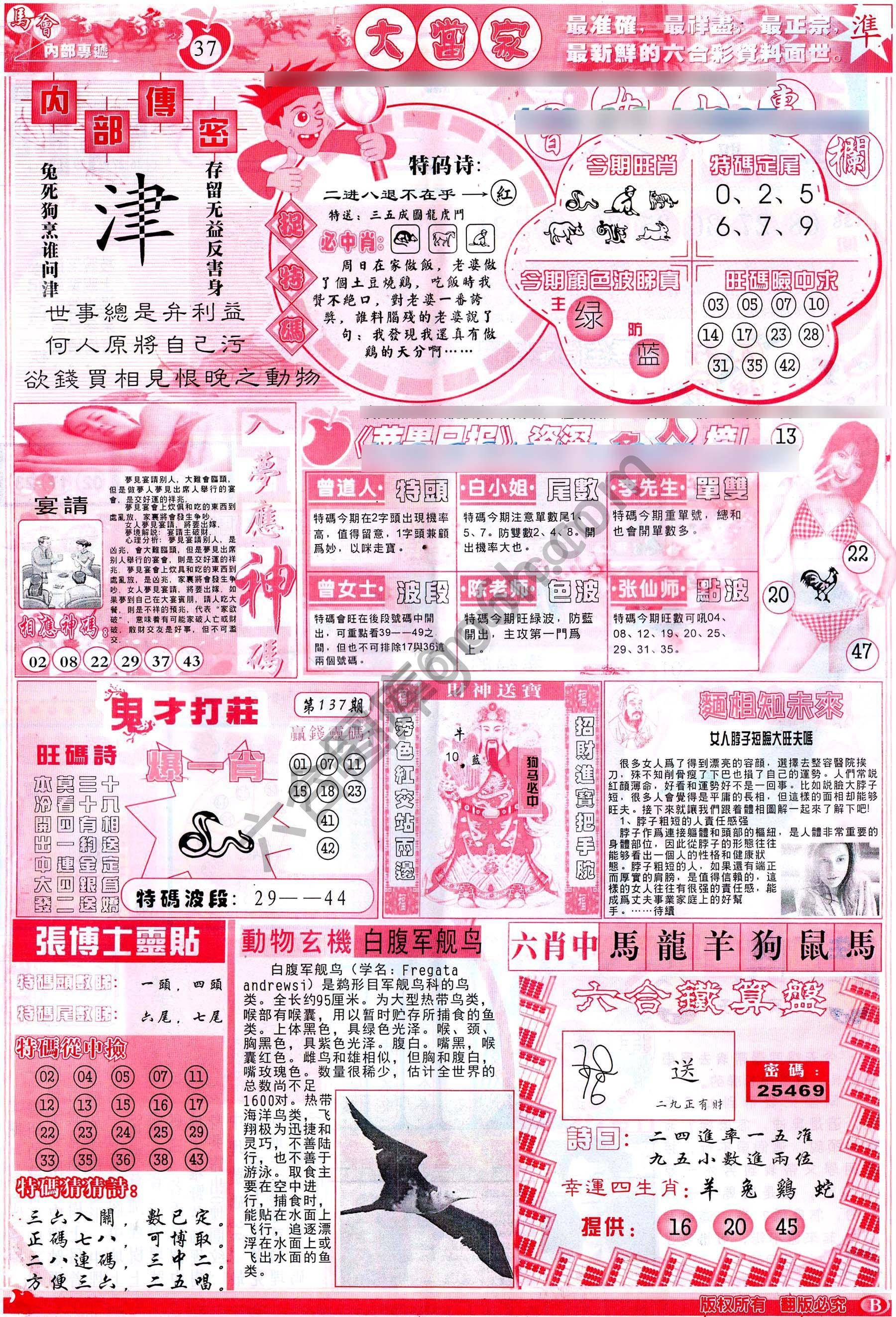 大当家
