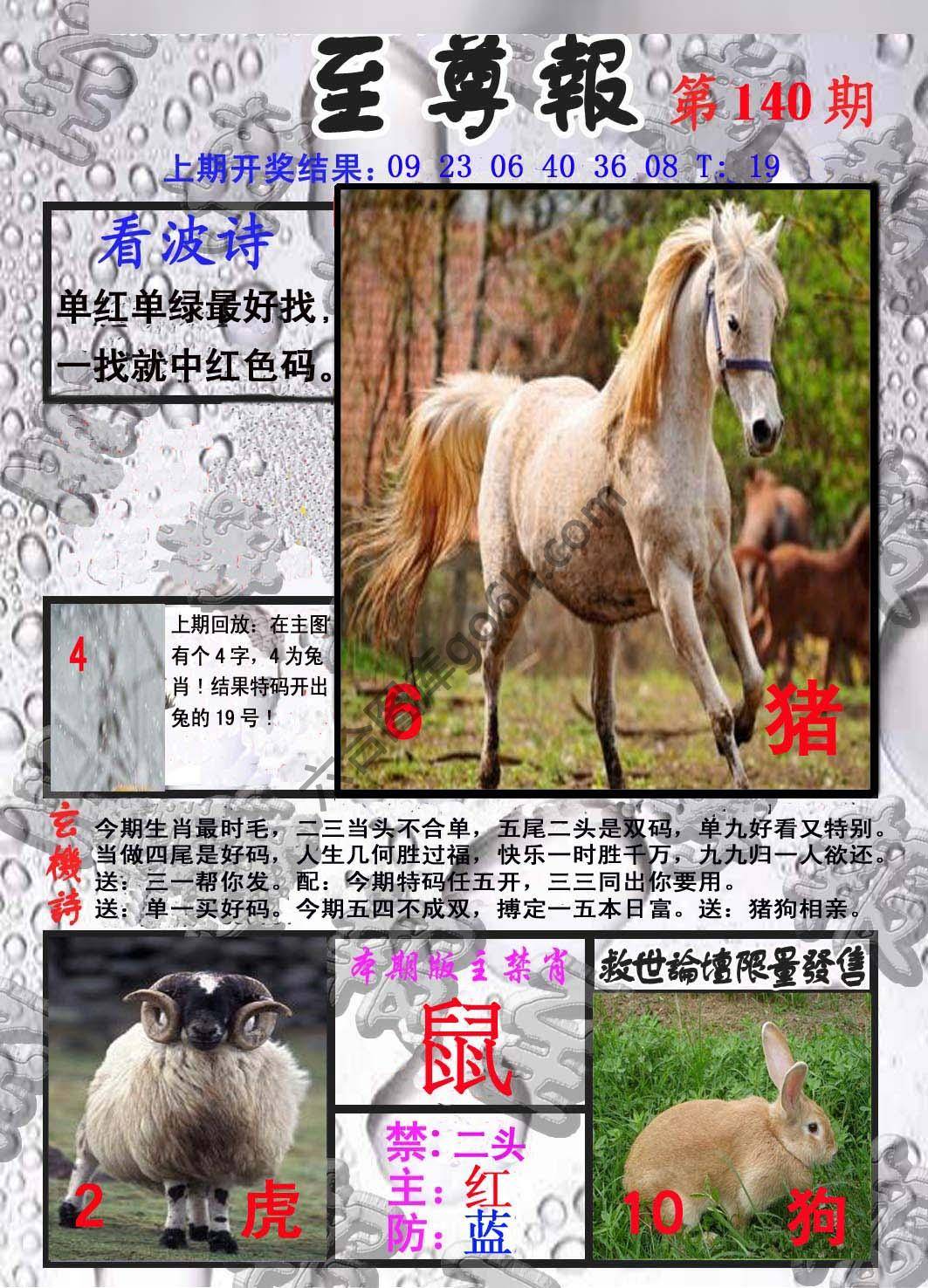 至尊报