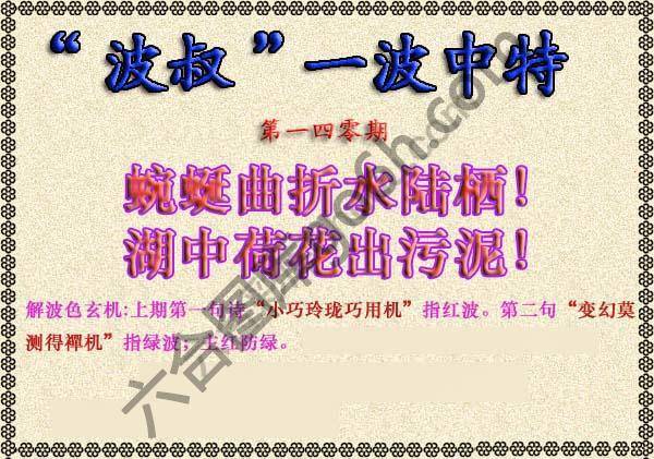 波叔一波中特