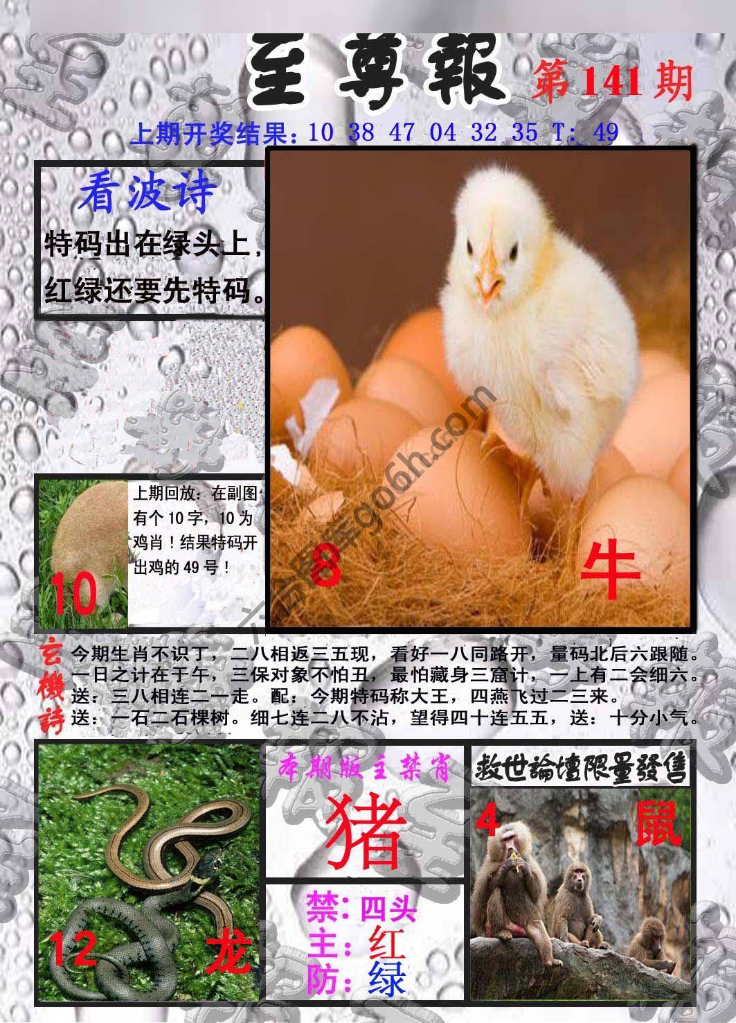 至尊报