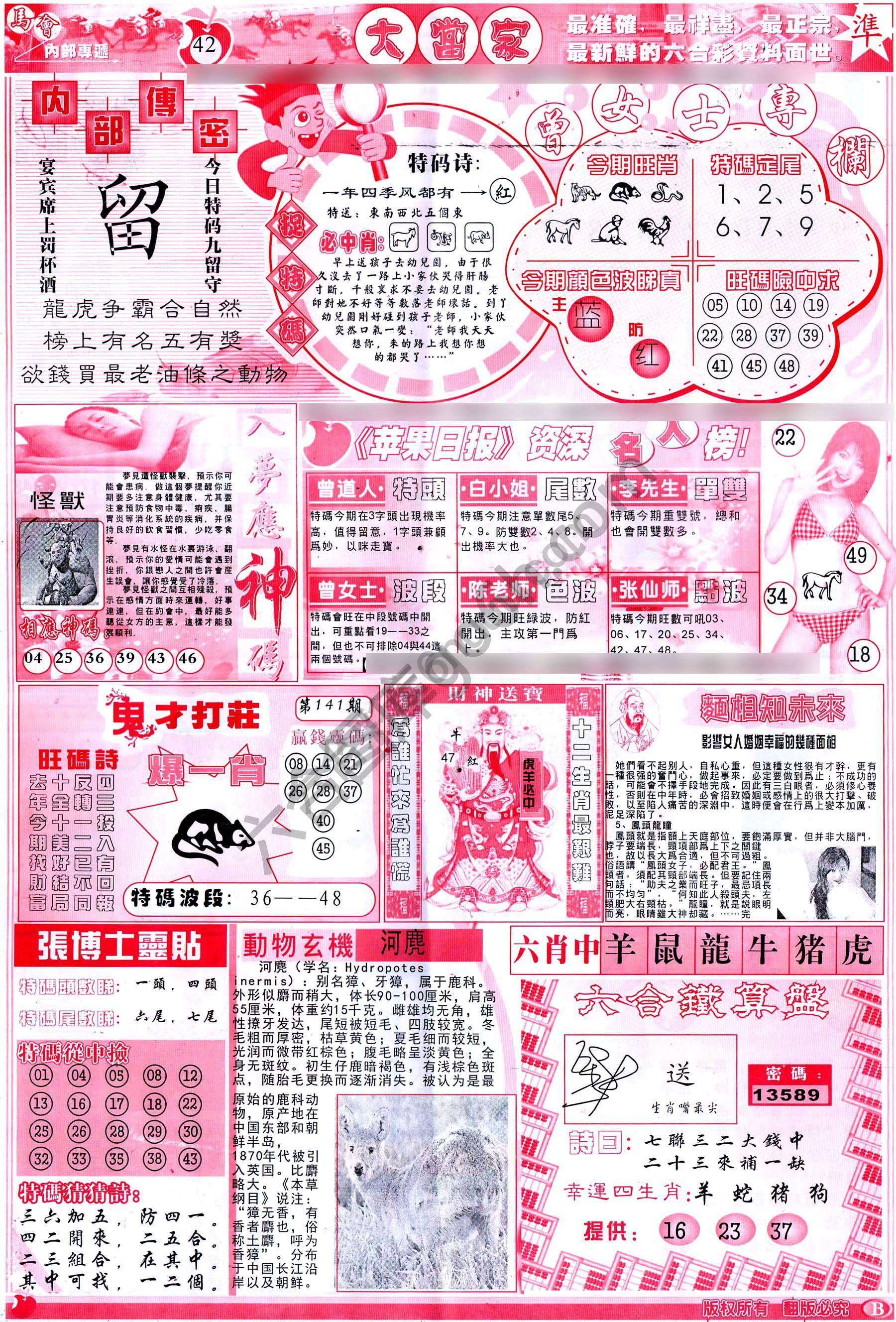 大当家