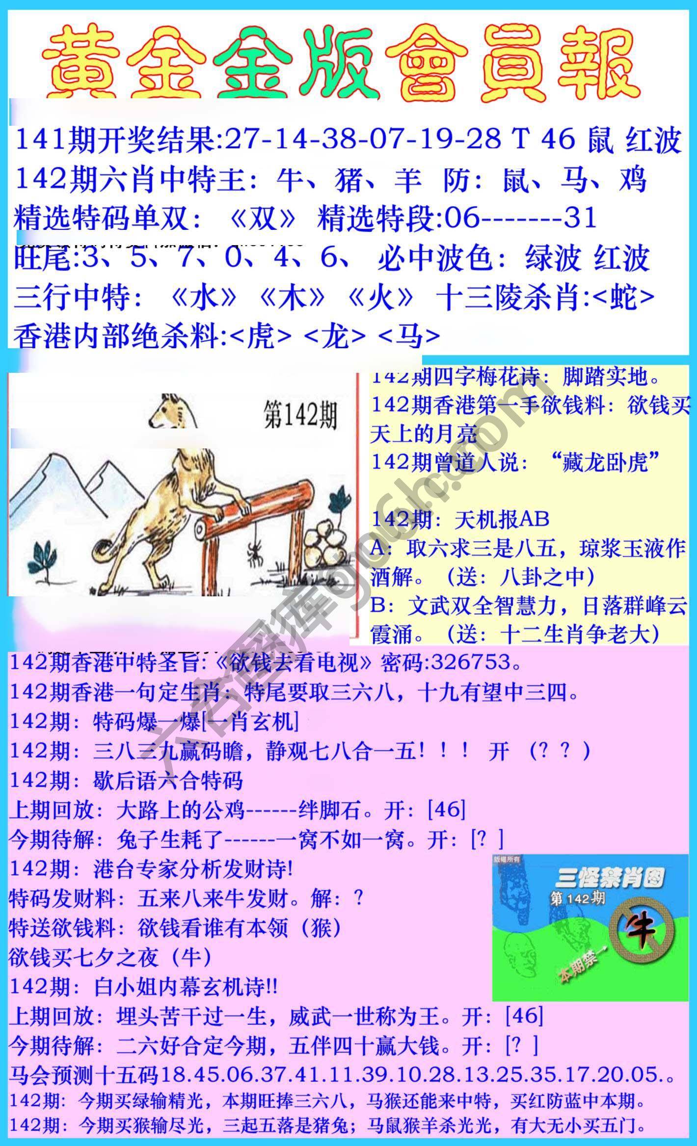 黄金金版会员报