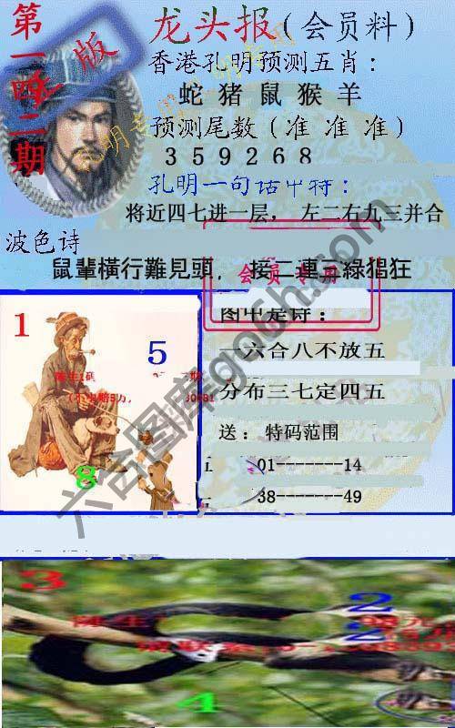 龙头报