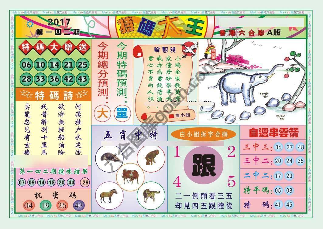 特码大王