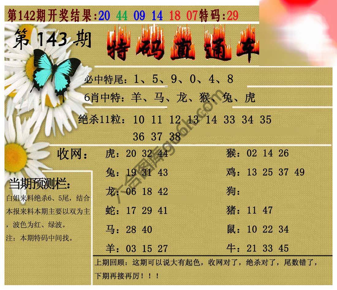 特码直通车