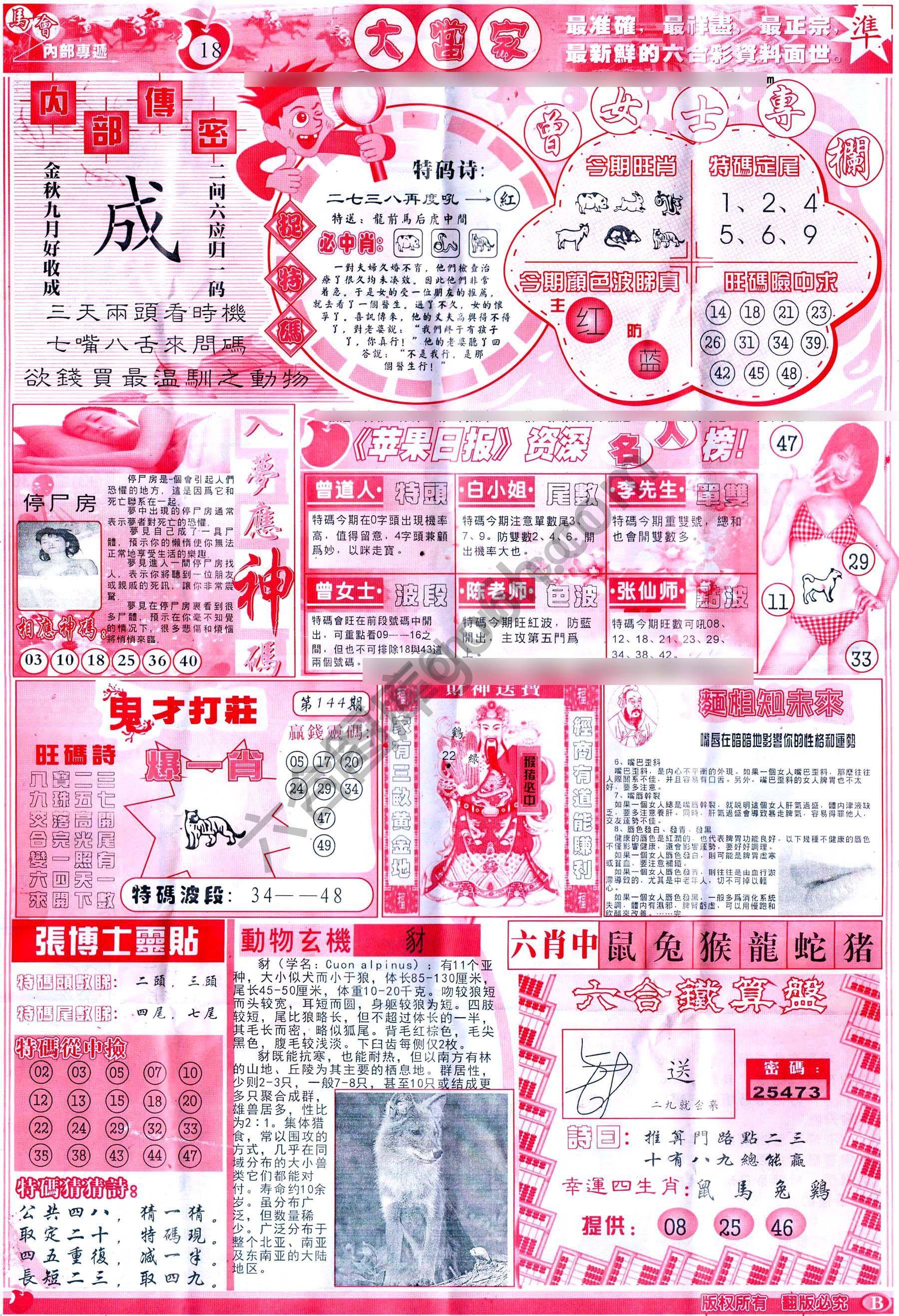 大当家