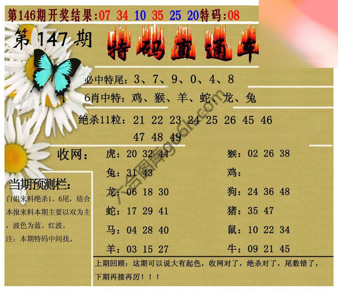 特码直通车
