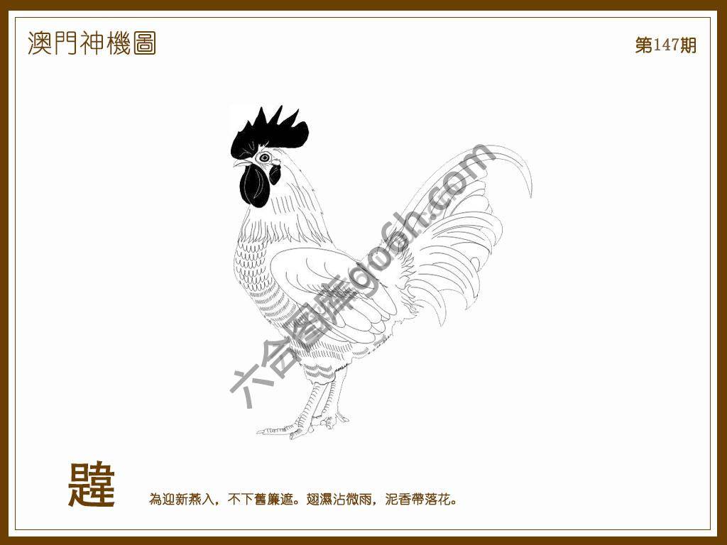 澳门神机图