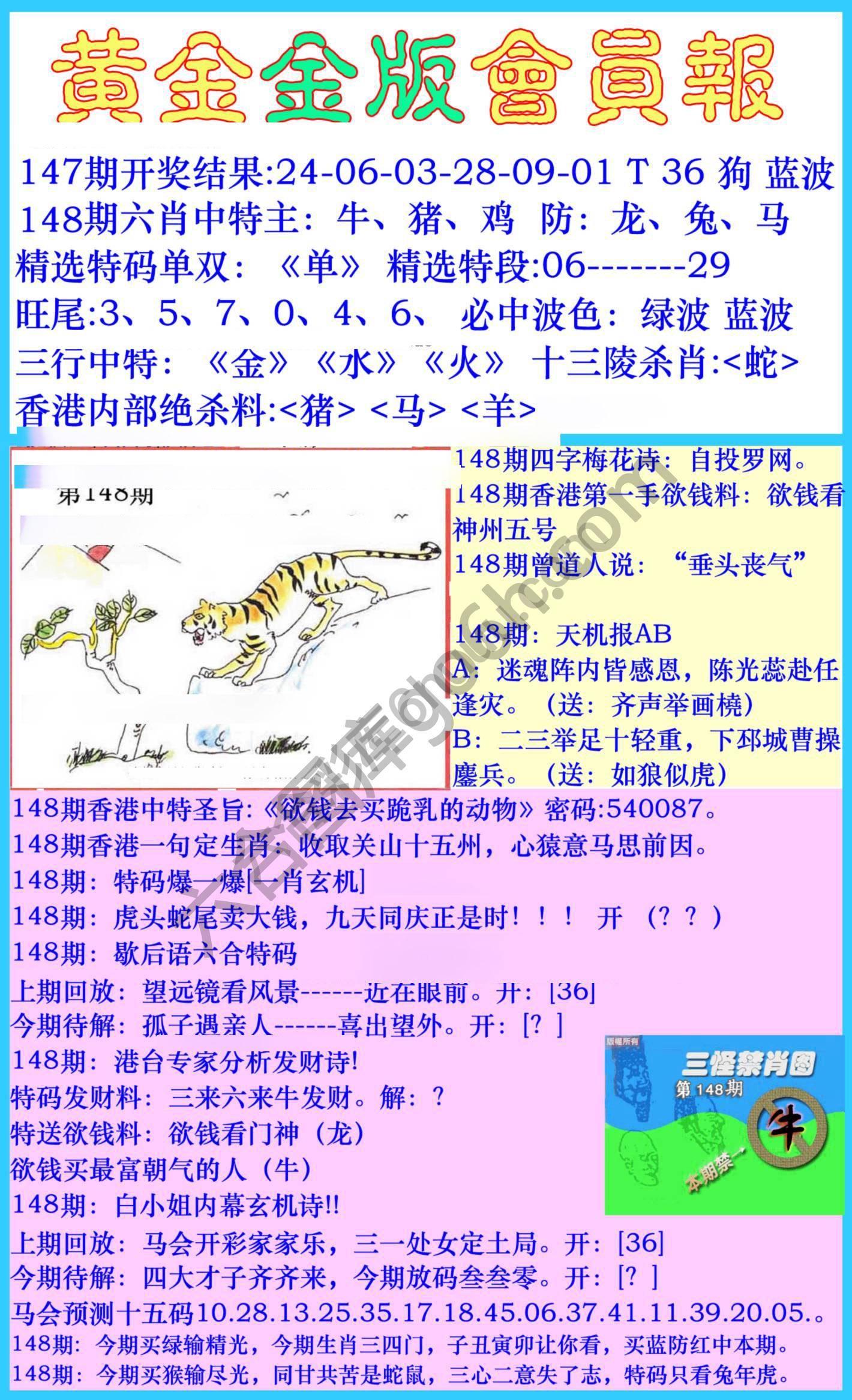 黄金金版会员报
