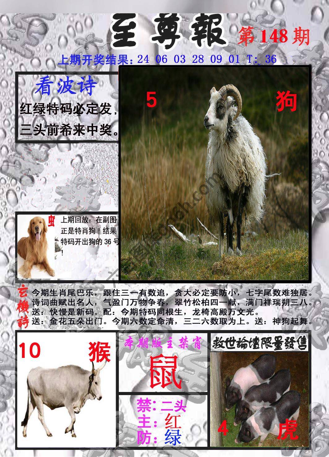 至尊报