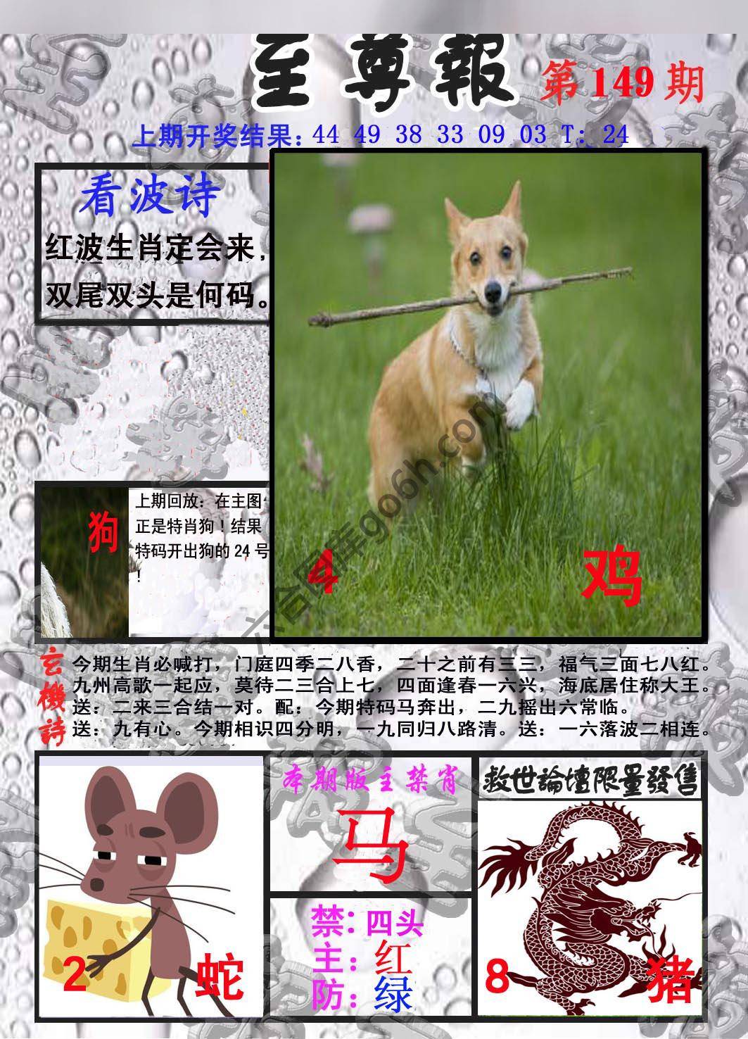 至尊报