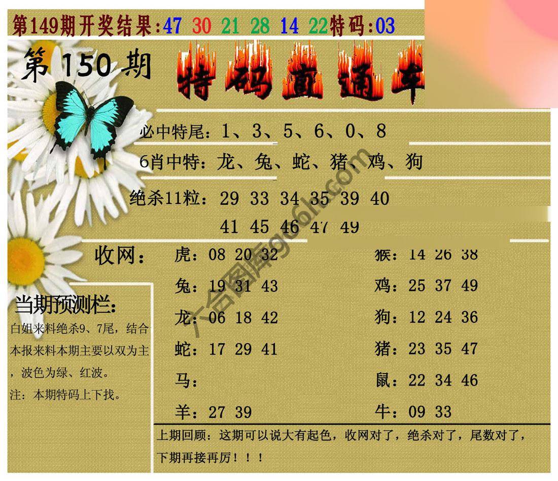 特码直通车