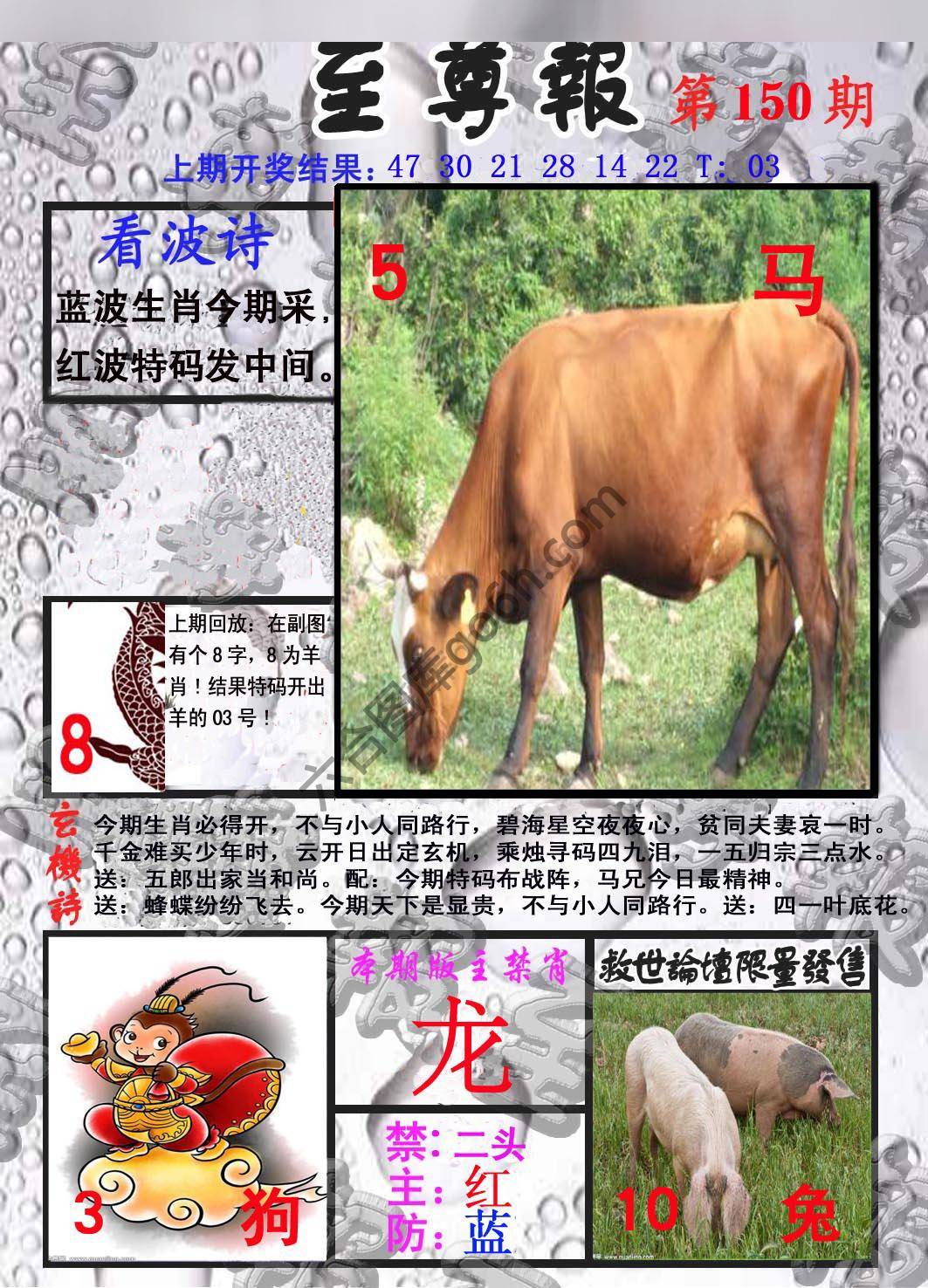 至尊报
