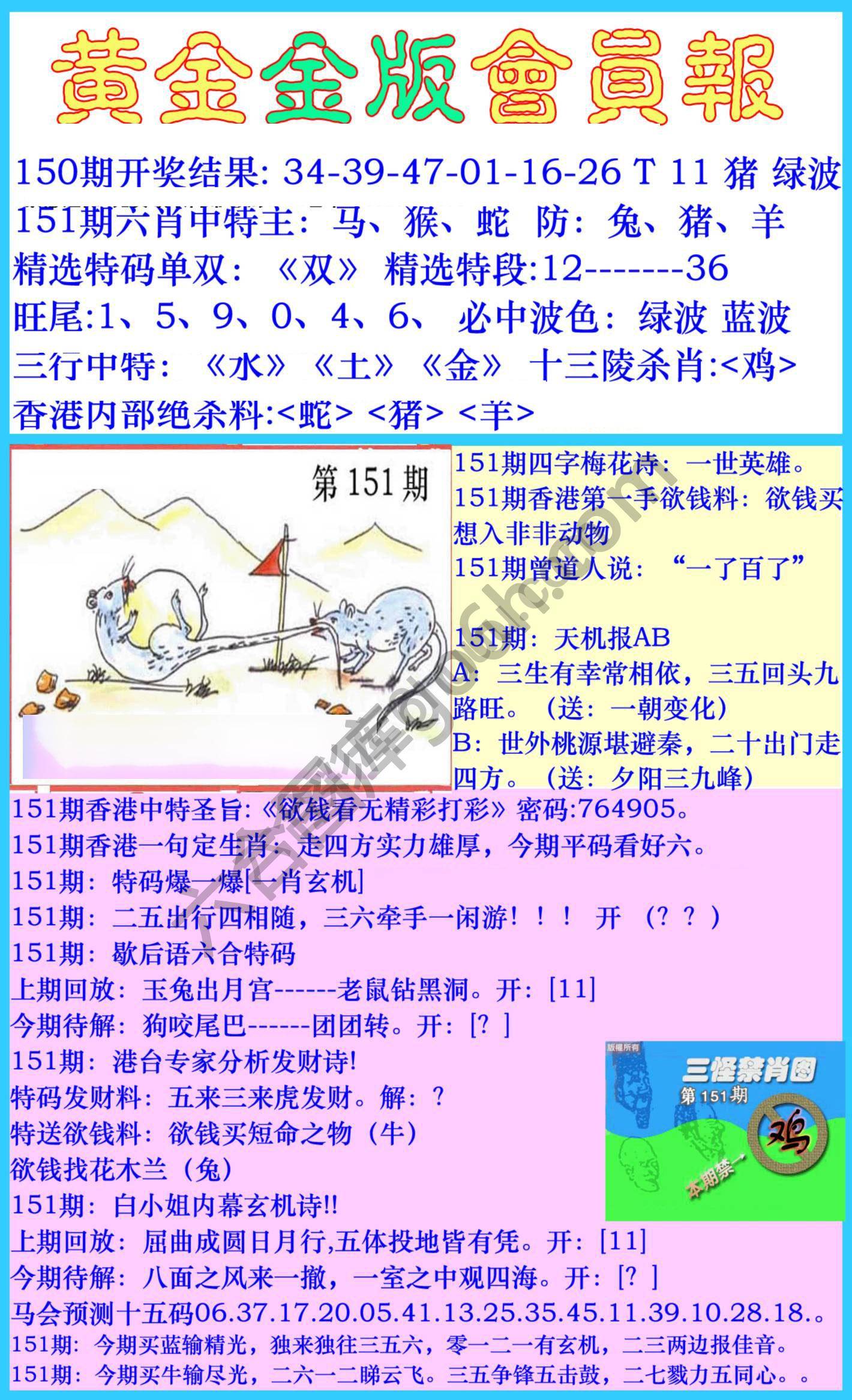 黄金金版会员报