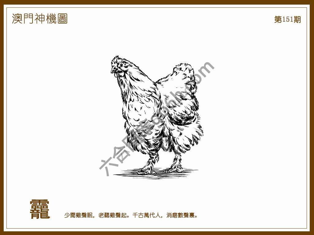 澳门神机图