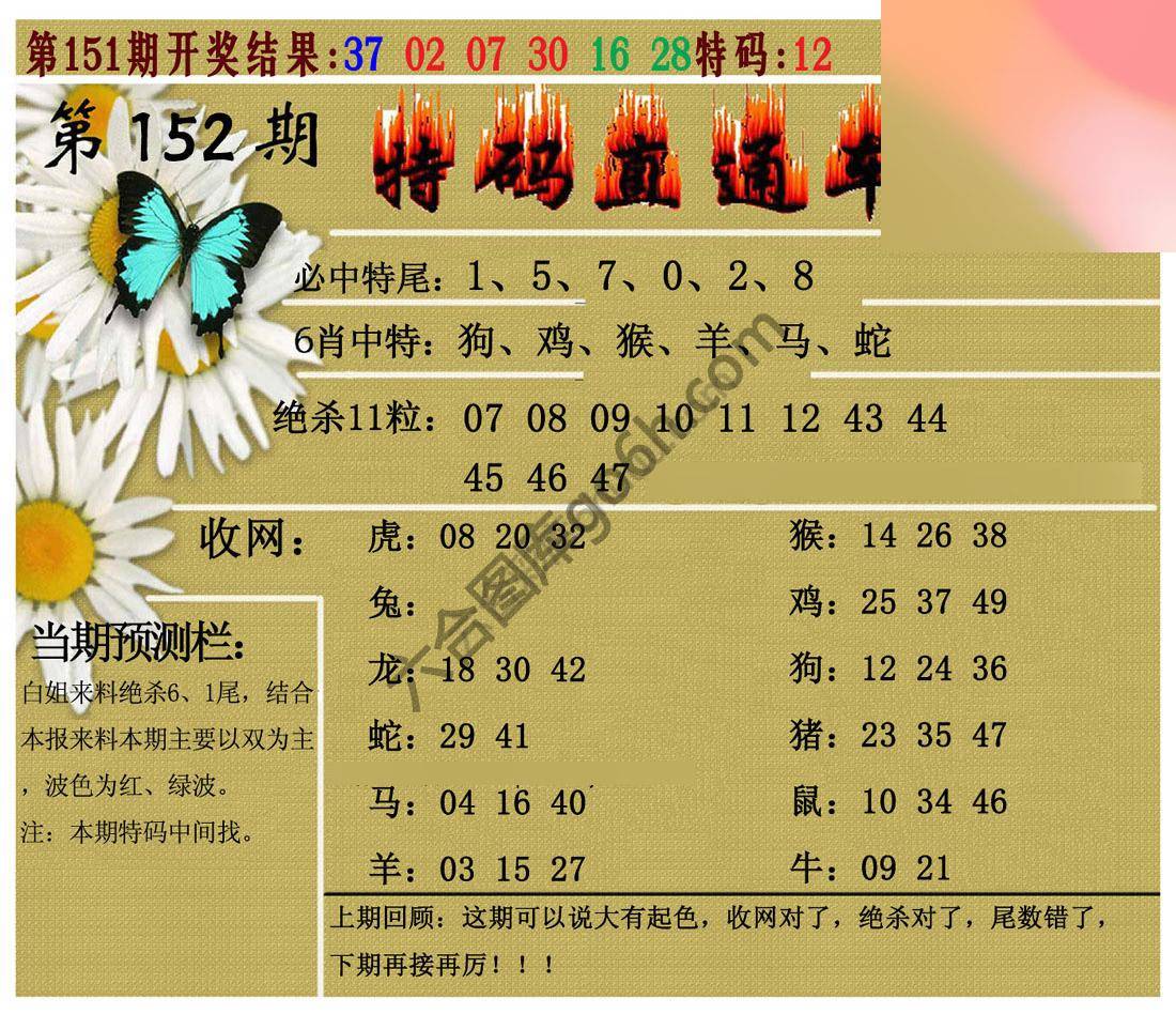 特码直通车