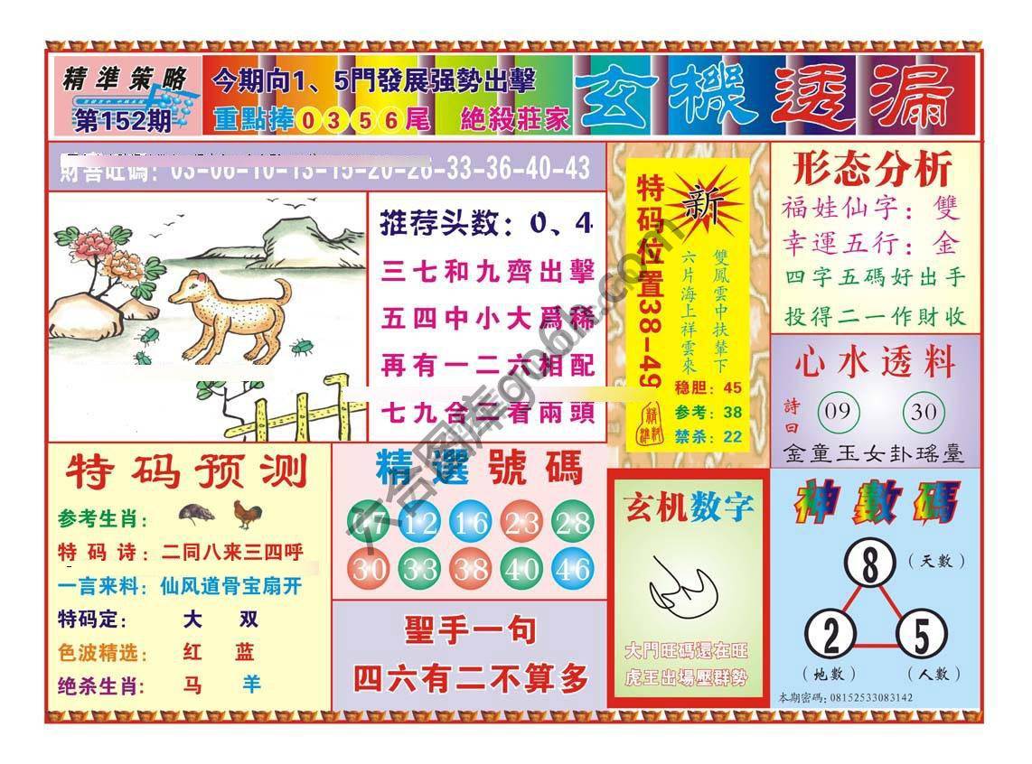 玄机透漏