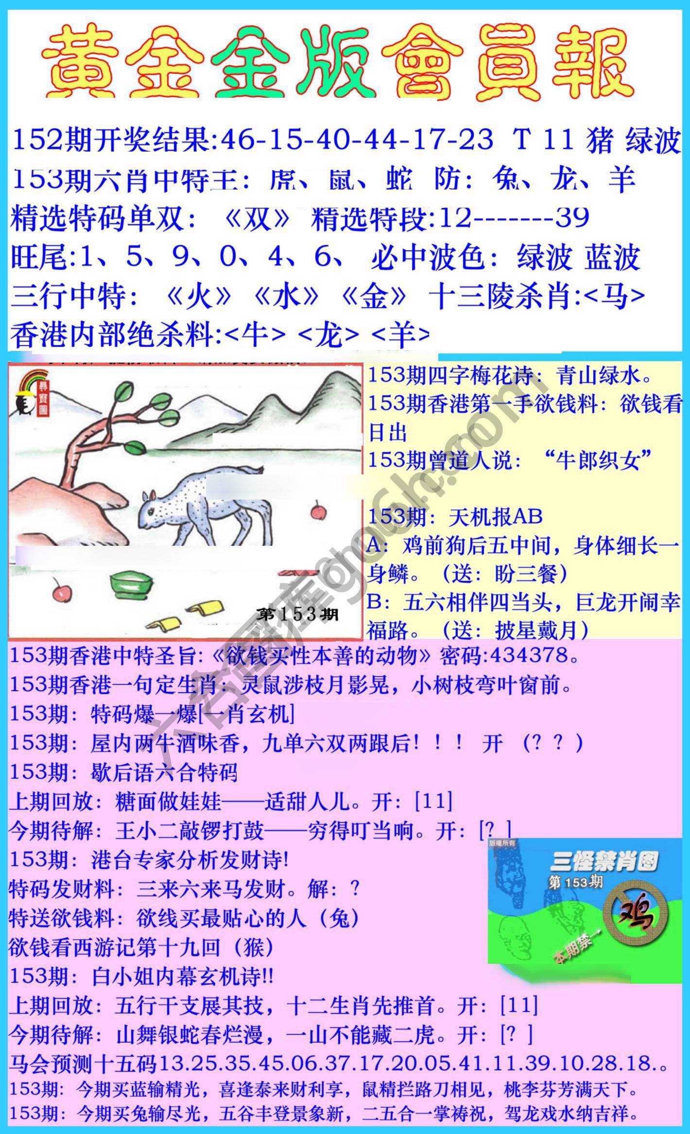 黄金金版会员报