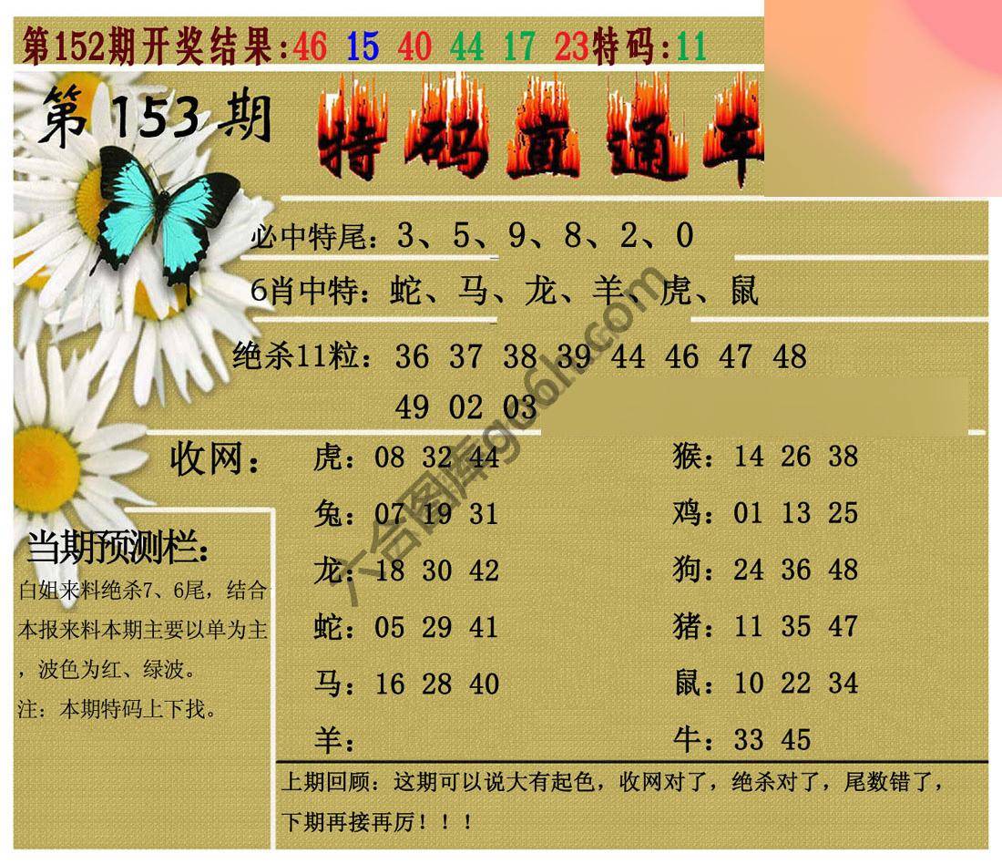 特码直通车