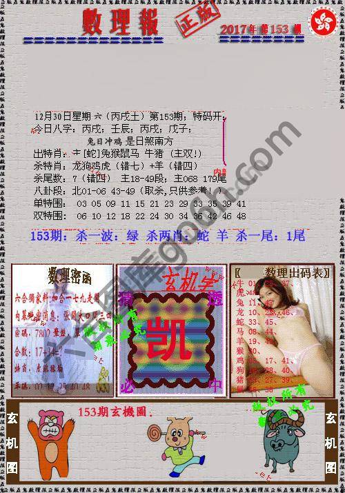 数理报